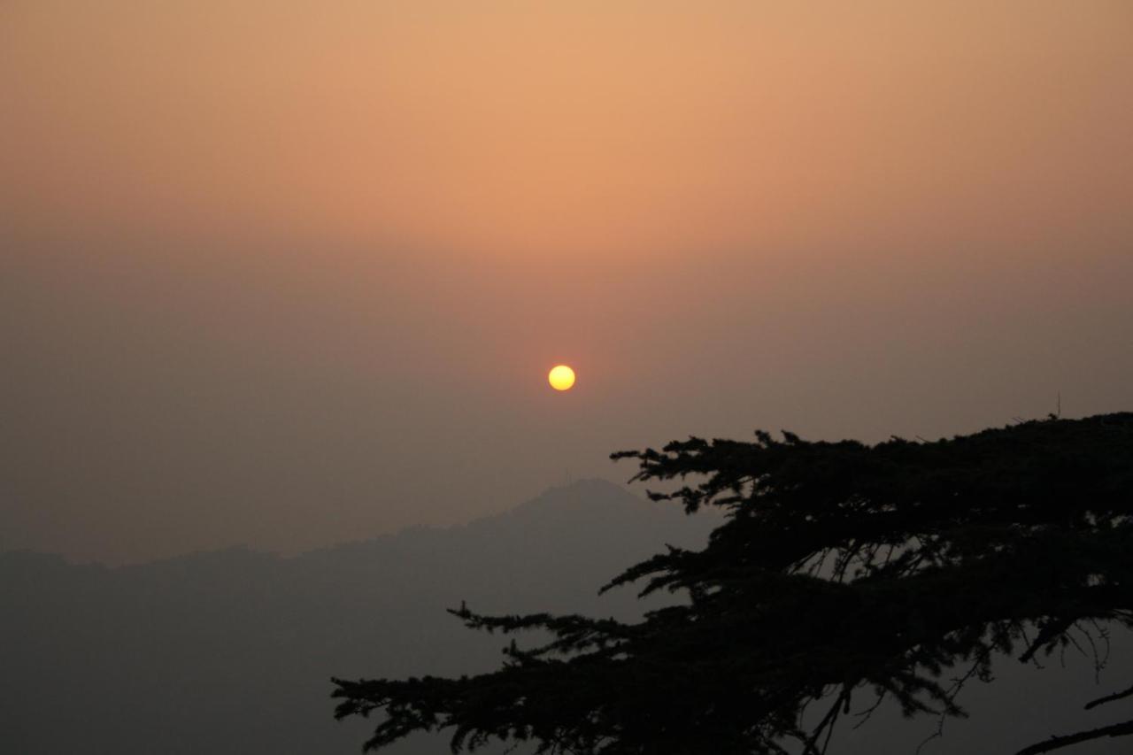Honeymoon Inn Shimla Luaran gambar